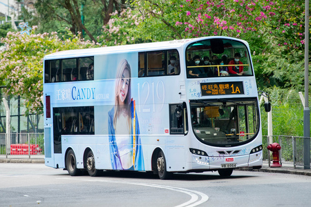 VB6984 @ 1A 由 海星 於 曉光街面向秀雅道足球場梯(秀雅道足球場梯)拍攝