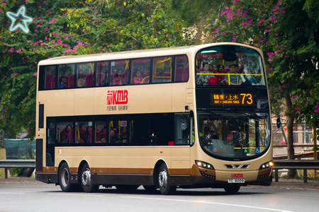 TC8009 @ 73 由 海星 於 林錦公路交匯處面向林錦公路出入口梯(林錦公路迴旋處梯)拍攝