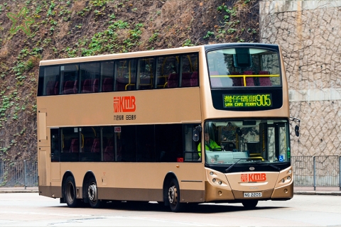 NG2205 @ 905 由 海星 於 美荔道面向護土牆梯(美荔道護土牆梯)拍攝