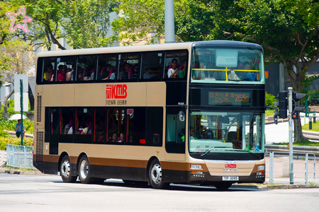 TP1095 @ 265B 由 海星 於 天城路面向天水圍游泳池梯(天水圍游泳池梯)拍攝