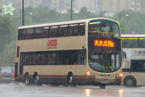 SP8931 @ 75X 由 海星 於 寶鄉街右轉大埔太和路梯(大埔官中梯)拍攝