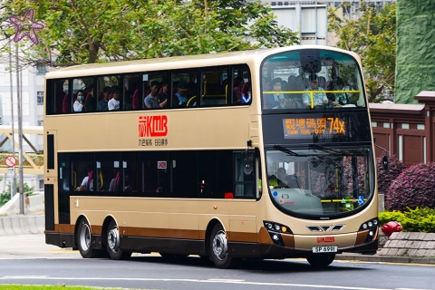 SP6991 @ 74X 由 海星 於 斧山道迴旋處面向南蓮園池梯(南蓮園池梯)拍攝